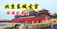 美女被添B免费视频中国北京-东城古宫旅游风景区